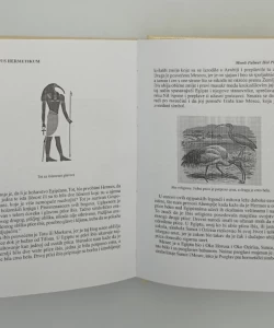 Korpus hermetikum