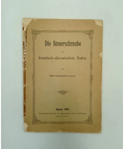 Die Steuerschraube