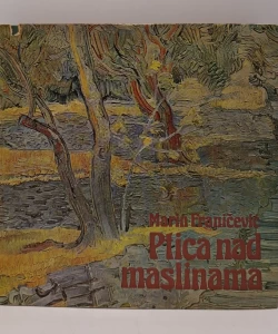 Ptica nad maslinama