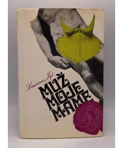 Muž moje mame