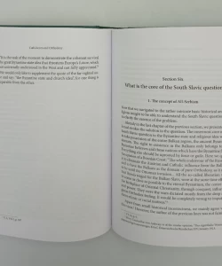 The South Slavic Question and the World War