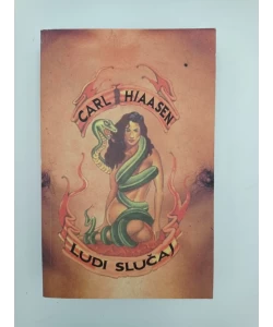 Ludi slučaj