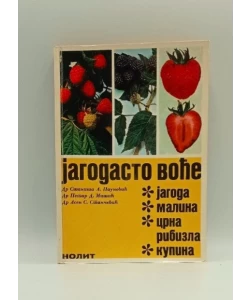 Jagodasto voće