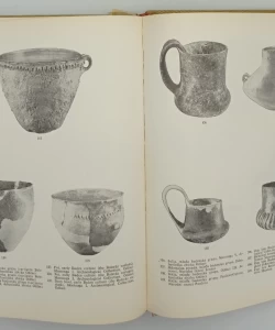 Praistorija Vojvodine