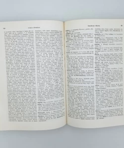 Knjiga Latinsko-hrvatski rječnik autor Mirko Divković