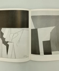 Knjiga Slikarstvo Stojana Čelića autor Stanislav Živković