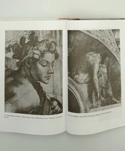 Umetnost i humanizam u Firenci u doba Lorenca Veličanstvenog