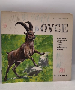 Ovce