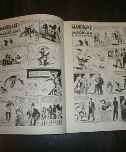 Mandrak maðioničar