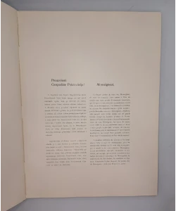 Stolna crkva u Djakovu
