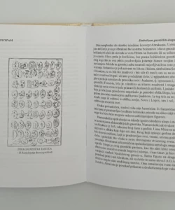 Gnosticizam