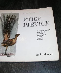 Ptice pjevice
