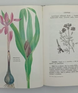 Zlatna knjiga ljekovitog bilja