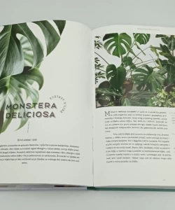 Urban jungle: život u urbanom zelenilu