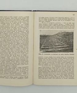Zadrugar: kalendar hrvatskih seljačkih zadruga za godinu 1941