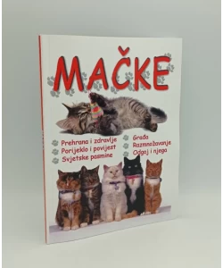 Mačke