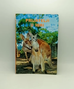 Prijatelji u igri