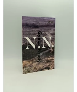N. N.: roman o djetetu ljubavi