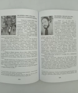 Knjiga Srbi u Dalmaciji i Primorju autor Kosta Novaković