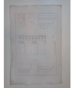 Stuart Lisf. XIX. PI. I.