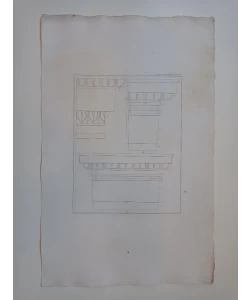 XVIII. PI. III.