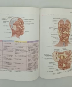 Clinically Oriented Anatomy