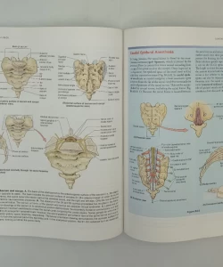 Clinically Oriented Anatomy