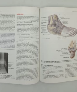 Clinically Oriented Anatomy