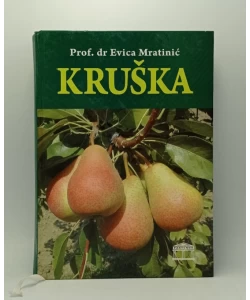 Kruška