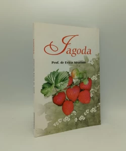 Jagoda