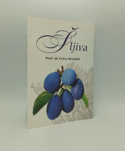 Šljiva