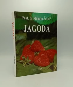 Jagoda