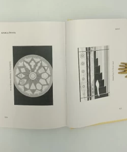 Knjiga Knjiga života II: kosmička hemija autor Martinus