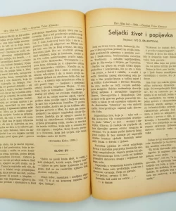 Hrvatski glas 1964