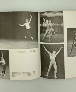 Knjiga Ballet Chronicle autor Bernard H. Haggin