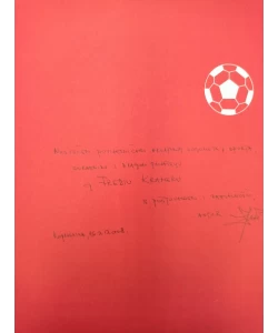 Nogometni klub Slaven Belupo Koprivnica