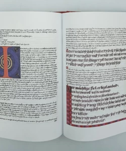 Knjiga Liber novus autor Carl Gustav Jung