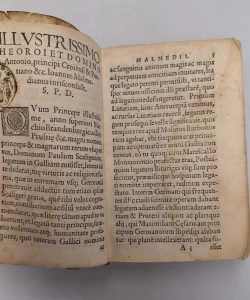 Responsa iurisconsultorum qui habentur in universa Europa clariores de origine, gente ac nomine Pauli Scaligeri ... / Annales Scaligerorum, ex cyrillo in Latinum sermonem conversi ad veram hi