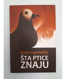 Šta ptice znaju