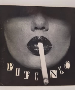 Čedomir Pipinić: Yuerotimport 78