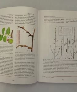 Voćarstvo: morfologija organa rasta i plodonošenja