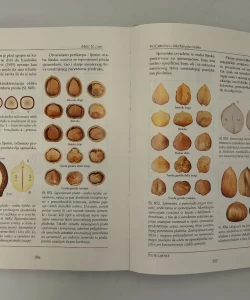 Voćarstvo: morfologija organa rasta i plodonošenja