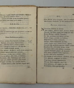 Georgii Ferrich Rhacusani Fabulae ab Illyricis adagiis desumptae.
