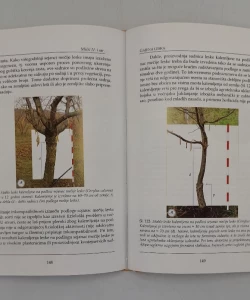 Knjiga Gajena leska autor Nikola Mićić, Gordana Đurić, Boris Pašalić