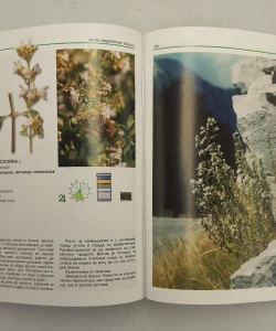 Knjiga Atlas medonosnog bilja II - U svetu cveća i pčela autor Veroljub Umeljić