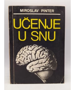 Učenje u snu