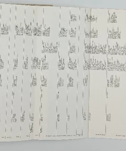Uloga "Gajreta" u društvenom životu muslimana Bosne i Hercegovine (1903 - 1941)