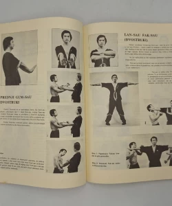 Kung fu Wing tsun kuen Si-Jo Leung Ting