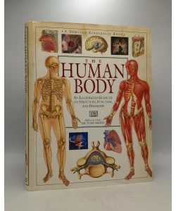 The Human Body