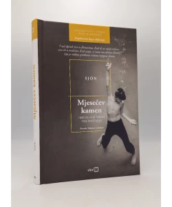 Mjesečev kamen: dječak koji nikad nije postojao